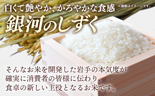 令和7年産 岩手町産 銀河のしずく 10kg(5kg×2袋) ／ 白米 ご飯 米 精米 おこめ 単一原料米 ブランド米 新鮮 おすすめ 送料無料 岩手県 岩手町