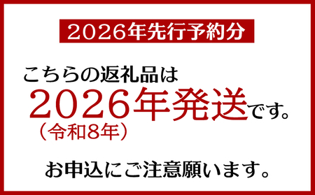 マンゴー【訳あり・ご自宅用】期間限定予約（約1.5kg）【2026年発送】まんごー mango