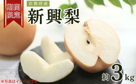 京都府産 新興梨 3kg 【2025年10月中旬発送開始】 果物 フルーツ なし 梨 くだもの