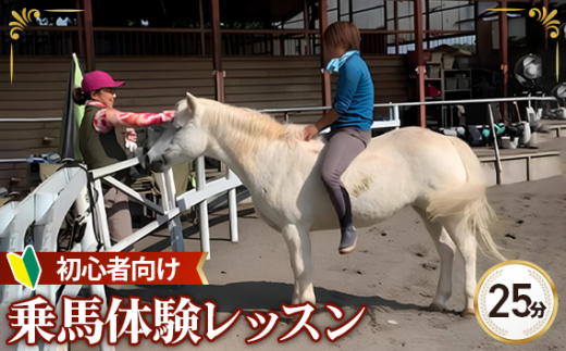 乗馬 体験 レッスン チケット 25分 | 馬 うま 乗馬 体験 レッスン 初心者 自然 シエナ乗馬クラブ 埼玉県 狭山市