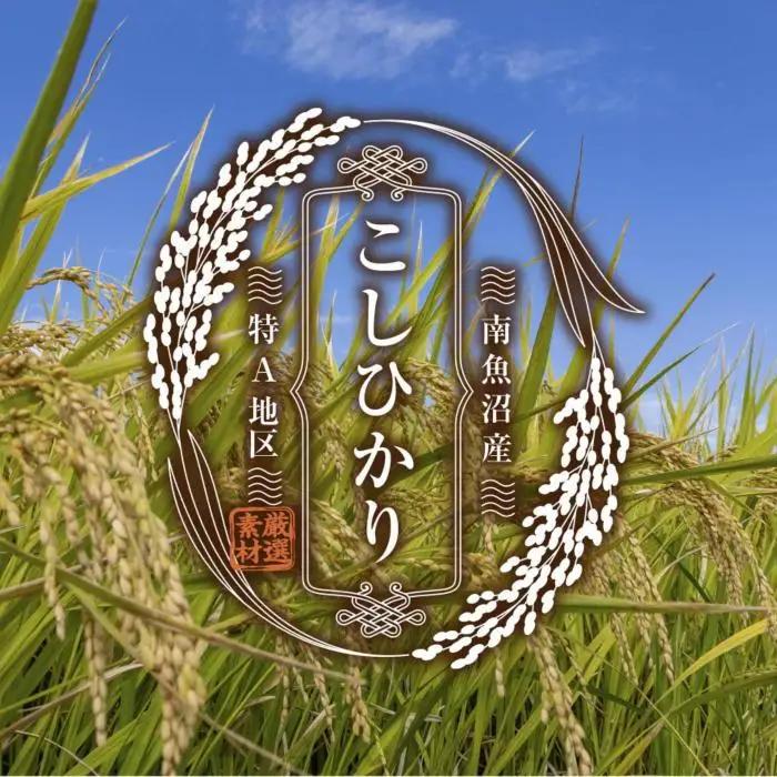 南魚沼産 コシヒカリ 普通に炊ける 玄米 2kg×2袋 計4kg こしひかり 新潟県 米 玄米食 コメ こめ｜主食