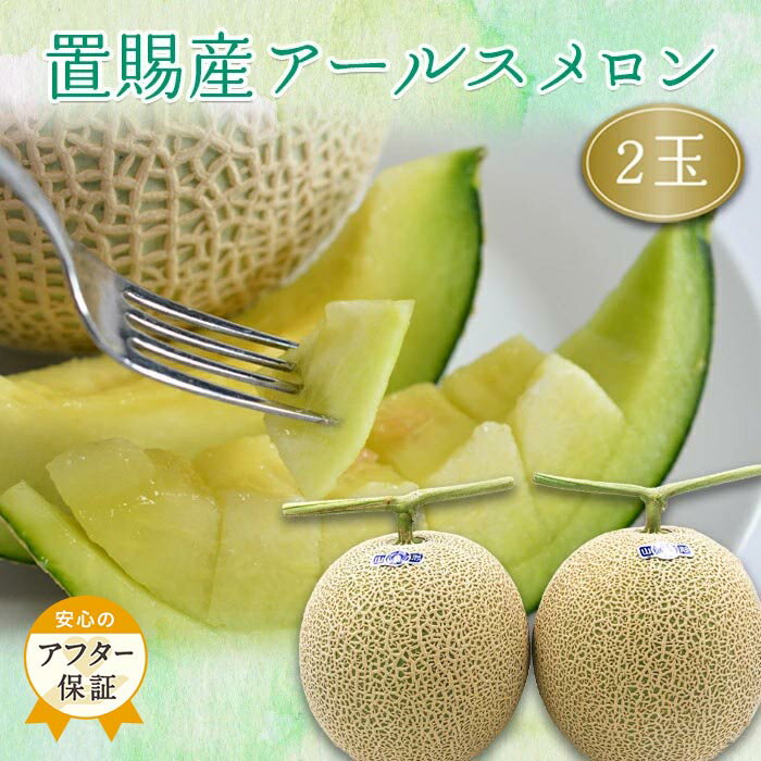 【ふるさと納税】＼アフター保証対象品／【2025年8月〜9月発送分】置賜産マスクメロン（アールスメロン）約1.75kg〜2.0kg×2玉_H136(R7)