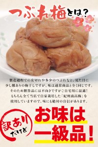 つぶれ梅干し 紀州南高梅 うす塩【ハチミツ入】 500g 塩分10%【nky017-105k】