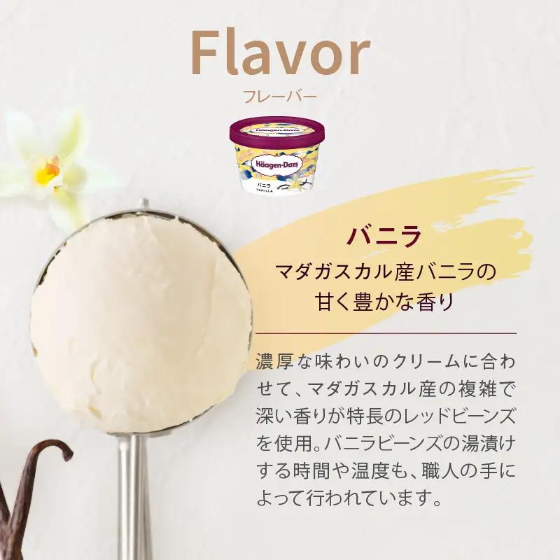 ハーゲンダッツ『ミニカップ24個セット(バニラ味)』アイスクリーム アイス スイーツ デザート_H0016-129