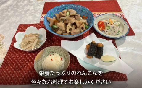 【先行予約】【3回定期便】こだわり白石れんこん 2kg/回（総計6kg）【れんこんの家やました】 [IAW005]