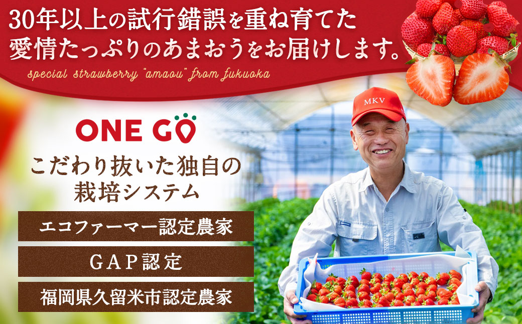 【予約受付】特別栽培 あまおう 1,200g  大粒 不揃い 選べる大容量あまおう （2L,グランデ,DX デラックス）減農薬 あまおう いちご 高級 いちごあまおう イチゴ 苺 フルーツ 果物 ふる