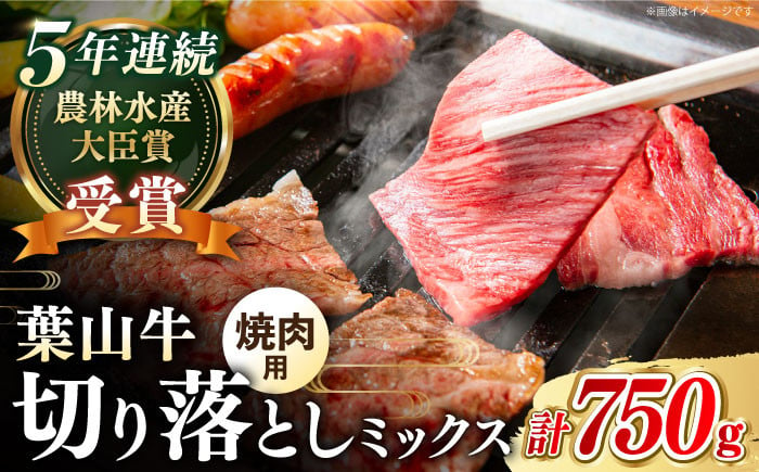 
            【幻の和牛】葉山牛 焼肉用 切り落とし ミックス ( 約750g × 1パック ロース モモ カルビ 等 ) 国産 和牛 牛肉 切り落とし 黒毛和牛 焼肉 やきにく 食べ比べ A5 牛肉 焼肉セット 牛肉 葉山町【葉山牛ステーキレストラン 角車】 [ASBD002]
          