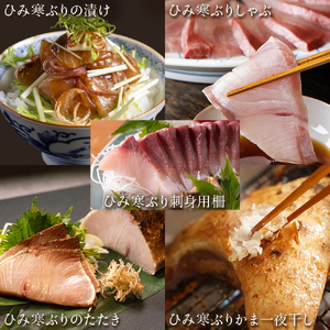 【先行予約】ひみ寒ぶり贅沢三昧五撰【2025年12月中旬以降順次発送】 鰤 ブリ 詰め合わせ 冷凍 魚介 富山県 氷見市