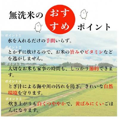 ふるさと納税 月形町 【先行受付・令和7年産】北海道月形町産ななつぼし「無洗米」2kg　特Aランク13年連続獲得 |  | 02