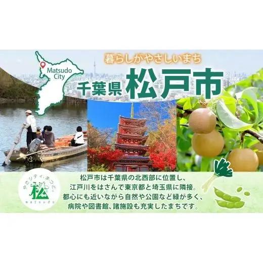 宝酒造 宝焼酎の濃いお茶割り 335ml×24本 タカラ酒造 緑茶 緑茶ハイ お茶ハイ 緑茶割り 日本茶 一番茶 本格的 チューハイ 缶チューハイ手軽 寿司 刺身 天麩羅 和食 食中酒 無炭酸 やわら