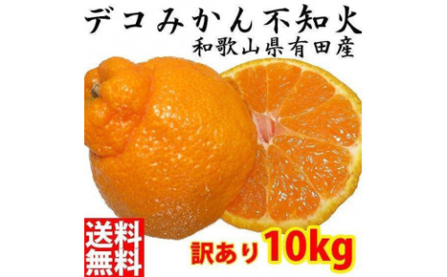 不知火(しらぬい) オレンジ みかん 家庭用 10kg