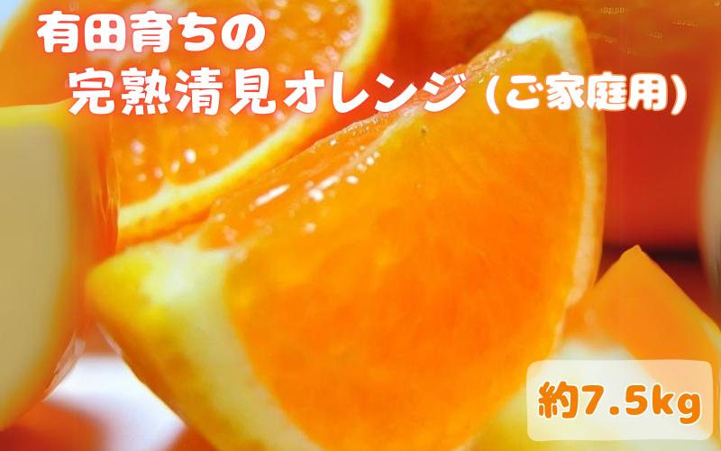 
【2025年3月上旬～発送】有田育ちの完熟清見オレンジ(ご家庭用)　約7.5kg ※北海道・沖縄・離島配送不可 / オレンジ 和歌山 くだもの 果物 フルーツ おれんじ 有田みかん 有田 みかん【ard018A】
