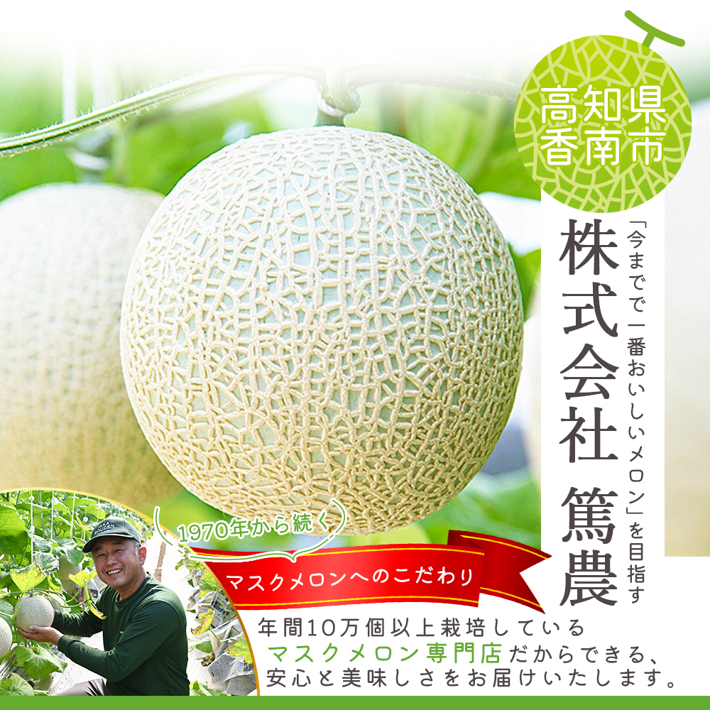 【 香南市 】 家庭用 マスク メロン 1玉入り 1.4kg以上 家庭用 1玉