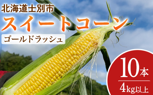 ＜期間限定＞天塩川源流スイートコーン ゴールドラッシュ (10本) 【2026年8月下旬より順次発送】北海道産 北海道 士別市 とうもろこし トウモロコシ とうきび コーン 野菜 産地直送 【三栄アグリ】【A7094】