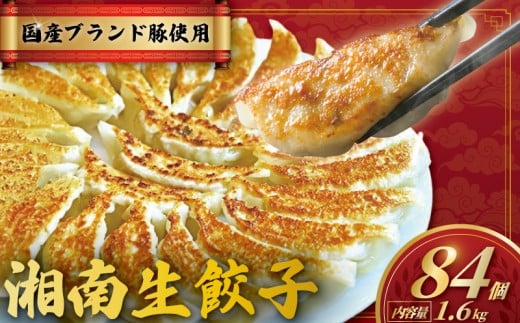 餃子 ぎょうざ 84個 (42個 × 2 パック) 肉汁たっぷり 大きい 国産 ブランド豚 ルイビ豚 小分け 豚肉 野菜 湘南餃子 湘南ぎょうざ 焼き餃子 gyouza ギョーザ 冷凍餃子 生餃子 冷凍 ご飯 おかず 冷凍食品 中華 おつまみ 簡単調理 時短 簡易包装 手作り餃子 サノフーズ 神奈川 湘南 藤沢