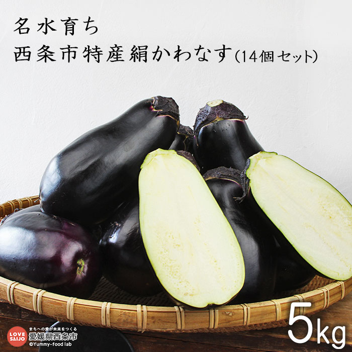 【ふるさと納税】予約受付＜名水育ち 西条市特産 絹かわなす 約5kg（14個セット）＞※2026年7月中旬～9月末迄に順次出荷します。茄子 ナス なすび きぬかわなす 野菜 新鮮 旬 期間限定 数量限定 産地直送 特産品 愛媛県 西条市【常温】
