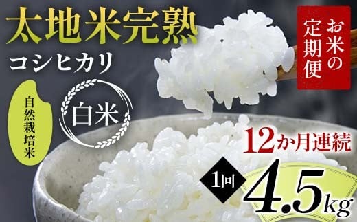 【先行予約】お米の定期便 自然栽培米 太地米完熟 【こしひかり】 白米4.5kg×12か月連続 ブランド米 お米 精米 白米 人気 F7X-0767