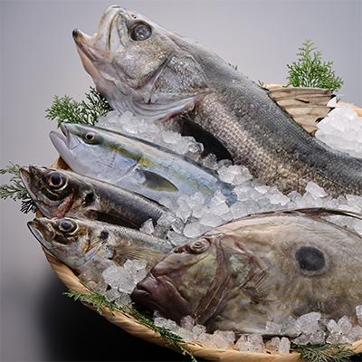 ふるさと納税 女川町 季節の地魚4種詰合せ