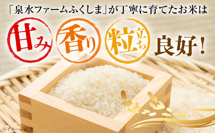 【R8年産新米】【全3回定期便】泉水の米こしひかり 6kg(3kg×2袋) 3ヶ月 白米 お米 ご飯 コシヒカリ 三次市/泉水ファームふくしま [APAJ010]