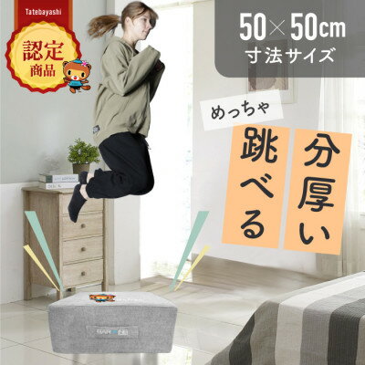 【ふるさと納税】ぽんちゃん トランポリンクッション (ライトグレー) 50cm×50cm 高反発 室内用【1568243】