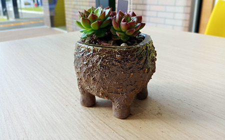 眞名焼 サボテン鉢 中サイズ2個 丸型 角型ペア　｜鳥取 岩美 鉢 丸型 角型【71013】