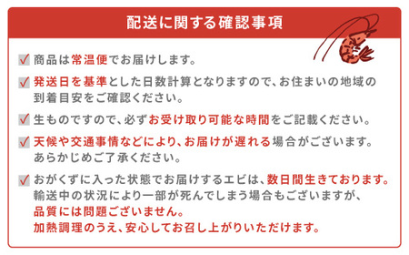 【先行予約】12月5日(金)発送希望 活き 車海老 (400g) 【期間限定】年内発送 常温 活きたまま 宇検村産 車えび 魚介 エビ 海鮮 刺身 人気 くるまえび 奄美大島 宇検村 鹿児島