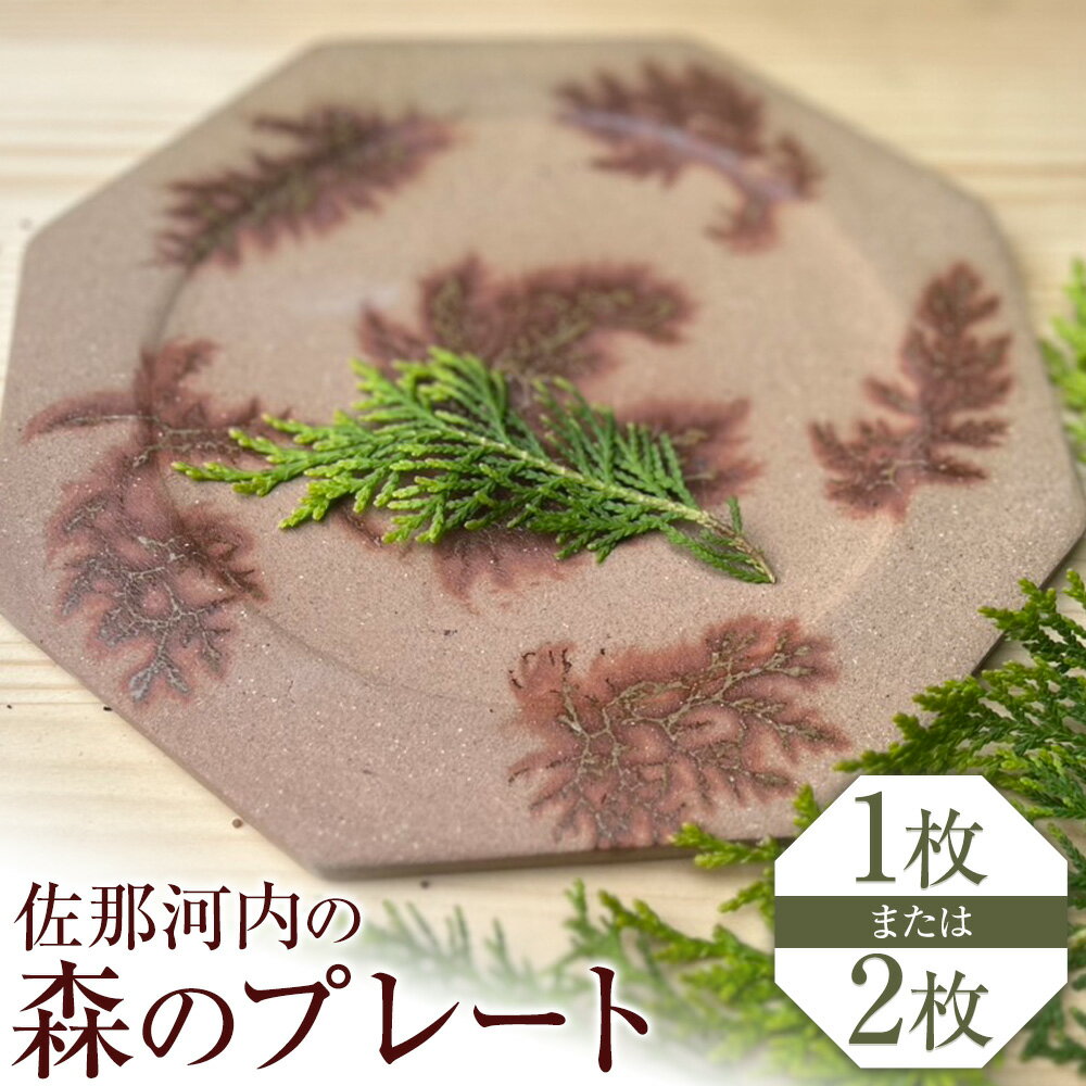 【ふるさと納税】佐那河内の森のプレート 皿 食器 プレート 手作り 暁陶芸工房《30日以内に出荷予定(土日祝除く)》 自然 キッチン用品 日用品 オリジナル 雑貨 徳島県 佐那河内村