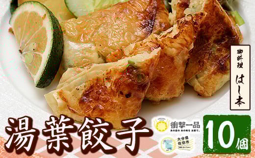 
衝撃一品！御料理はし本 湯葉餃子 (計10個) 【AB224】【柳井商店】
