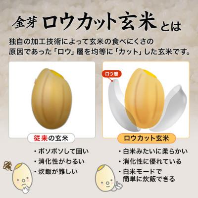 ふるさと納税 安来市 金芽ロウカット玄米 島根県産 きぬむすめ 4kg(2kg×2袋) |  | 01