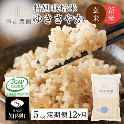 ふるさと納税 知内町 【令和7年産新米予約】【12カ月定期便】特別栽培米産地直送「玄米ゆきさやか 5kg」《帰山農園》