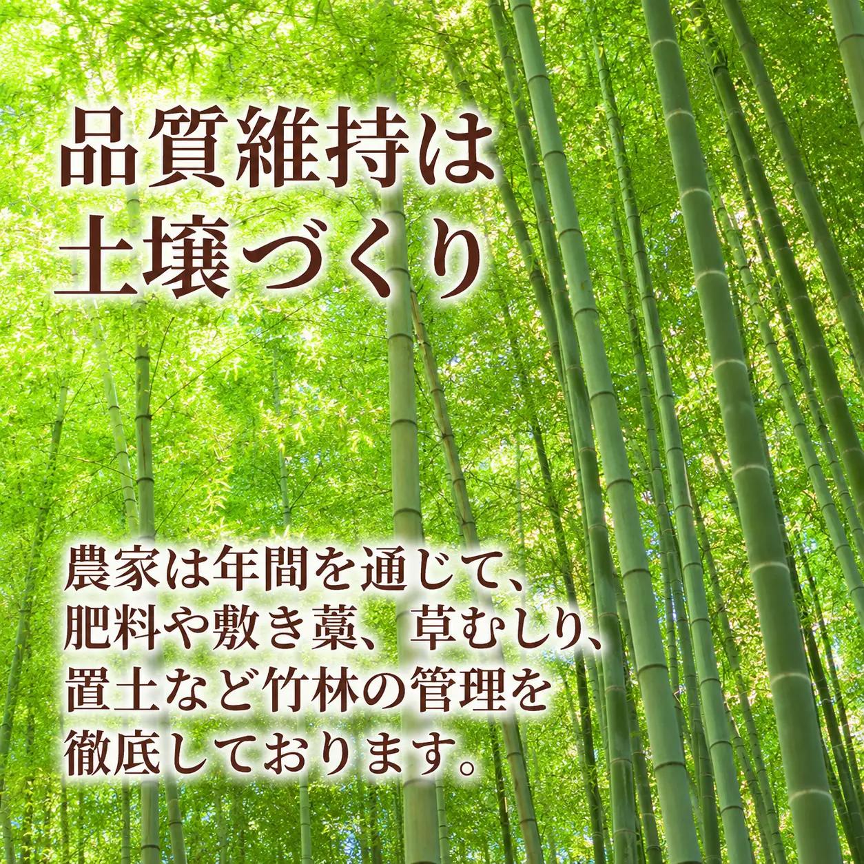 たけのこ食べ比べセット 5種 たけのこ 国産 惣菜 おかず おつまみ 小分け 老舗 京都 井手町