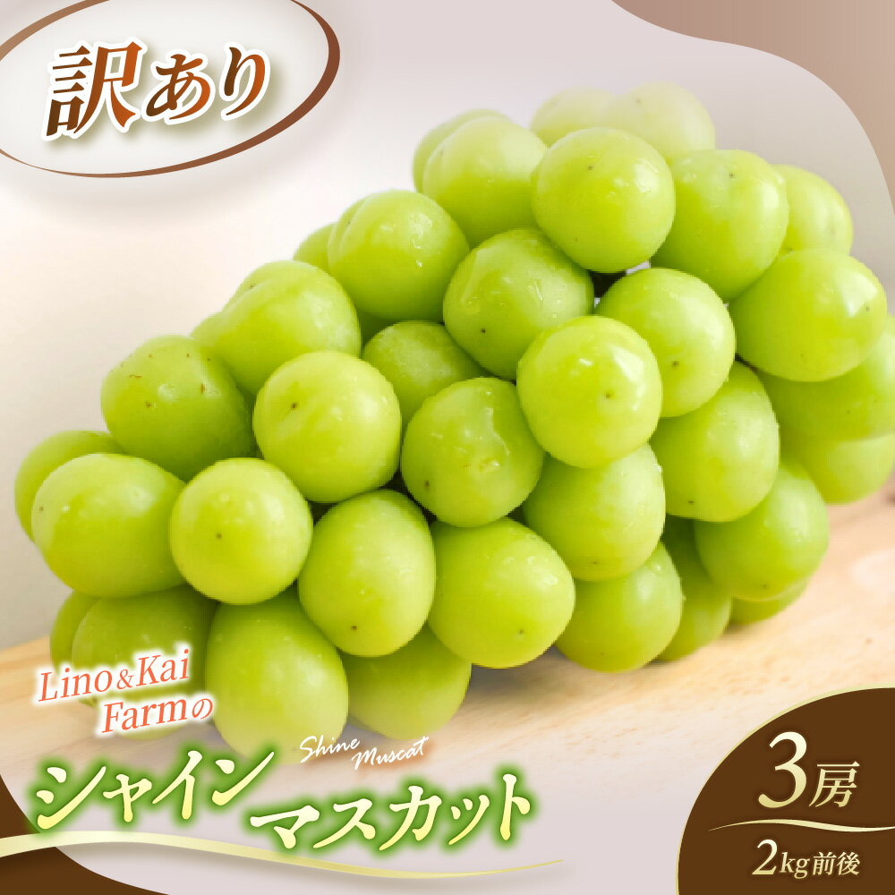 【ふるさと納税】 【2026年先行予約】 【訳あり】 Lino＆Kai Farmのシャインマスカット 3房前後(2kg前後）化粧箱入 ぶどう 岡山 真庭市 シャインマスカット 訳あり品 果物 産地直送 数量限定 種なし 【linokai013-01】