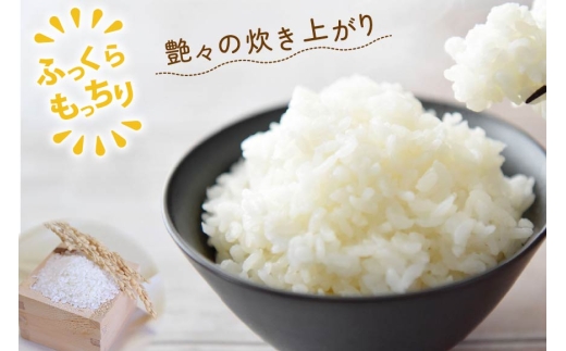 米 令和8年 12回 定期 ゆめぴりか 5kg [武山農園 北海道剣淵町 14656443 ] 令和8年産 白米 精米 新米 ご飯 ごはん コメ こめ 国産 10キロ 定期