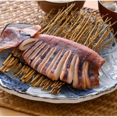 ふるさと納税 茨木市 【直火焼き魚】肉厚するめいか塩焼き 4杯入 加熱済