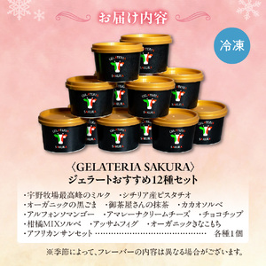 パティシエ　セレクション　ジェラート12個セット