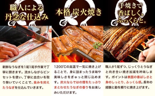 うなぎ 国産〈12/21までのご寄附で年内配送！〉 訳あり 鰻の蒲焼き 3尾 《3-7営業日以内に出荷(土日祝除く)》│ うなぎ 蒲焼 国産 うなぎ 小分け うなぎ 国産 うなぎ 父の日 うなぎ 母の