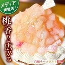 【ふるさと納税】白桃チーズタルト1ホール(18cm)【心優　−Cotoyu Sweets−】[KAA395]