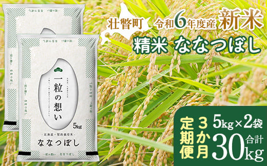 
【新米】【令和6年産米】北海道壮瞥産 ななつぼし 計30kg（5kg×2袋 3ヵ月定期配送） 【 ふるさと納税 人気 おすすめ ランキング 新米 米 お米 コメ こめ ななつぼし 精米 白米 ごはん ご飯 壮瞥産 定期便 北海道 壮瞥町 送料無料 】 SBTE038
