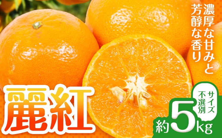 
                  【先行予約】麗紅 (れいこう) 約5kg みかん サイズ不選別 どの坂果樹園《2027年2月中旬-3月下旬頃出荷予定》 和歌山県 日高町 旬 果物 フルーツ 柑橘 蜜柑 送料無料 みかん 規格外
                