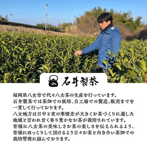 八女茶ほうじ茶ティーバッグ3g×20包【メール便】 国産 ほうじ茶 八女茶 お茶 ホット 水出し 手軽 ティーバック 福岡県 八女市 209-008