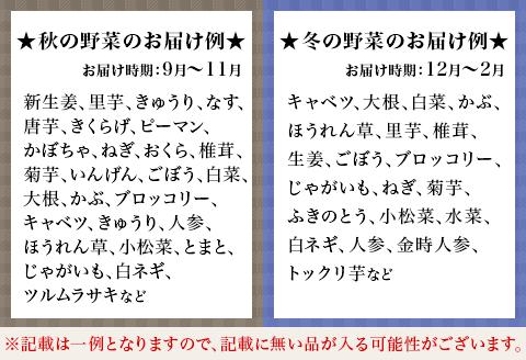 旬の農産物（野菜・果物など）詰合せ【7品以上】