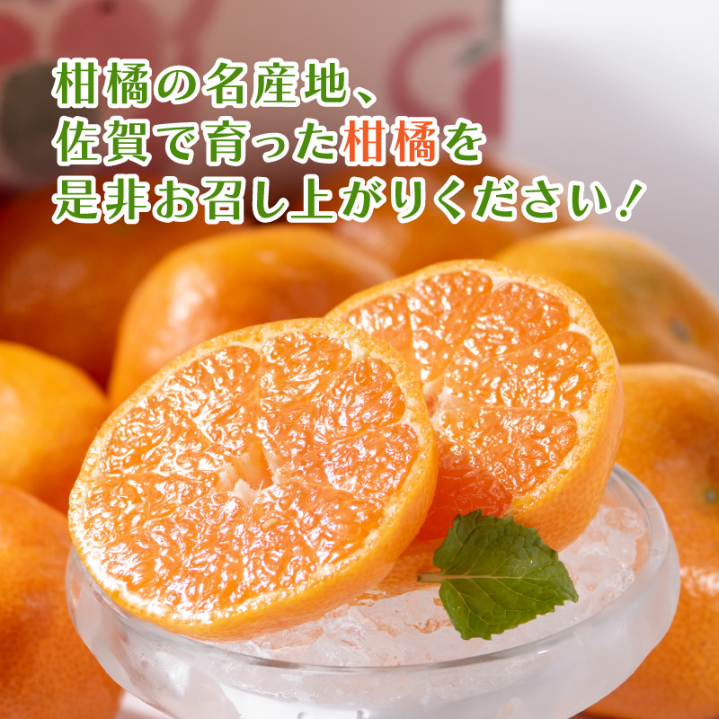 佐賀産 柑橘6種定期便 満喫セット【全6回】999-B862