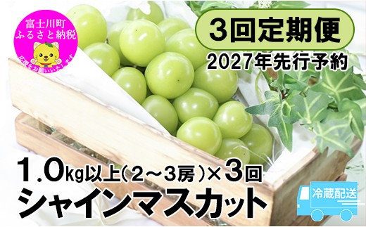 【2027年先行予約】【３回定期便】頬張る幸福感 ～緑の宝石・シャインマスカット～ 計３kg（1.0kg以上・2～3房を３回[9月上旬・中旬・下旬]お届け）※冷蔵発送※　シャイン シャインマスカット ぶどう 葡萄 ブドウ 定期便 ３回 果物 くだもの フルーツ 山梨 やまなし 富士川町 シャインだけ シャインマスカットだけ