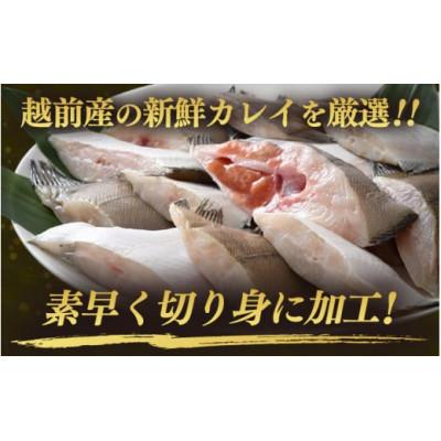 ふるさと納税 越前町 【のし付き】【越前海岸・美味直送シリーズ】肉厚!越前産カレイ切り身　計2kg(1kg × 2袋)