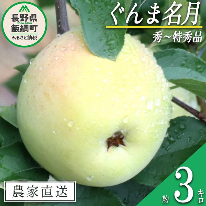 【ふるさと納税】 りんご ぐんま名月 秀 〜 特秀 3kg 丸山りんご園 沖縄県への配送不可 令和7年度収穫分 長野県 飯綱町 〔 信州 果物 フルーツ リンゴ 林檎 長野 12000円 予約 農家直送 〕発送時期：2025年11月上旬〜2025年12月上旬 {***}