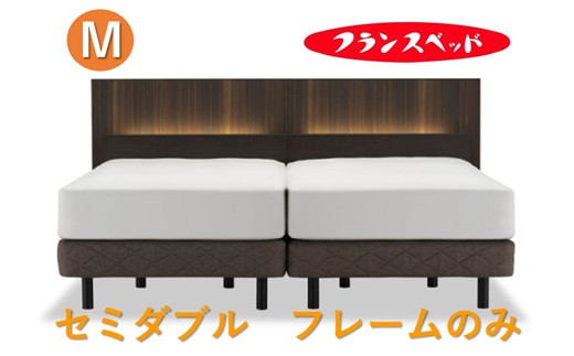 
                  フランスベッド　AW-02C LG   セミダブル   フレームのみ
                
