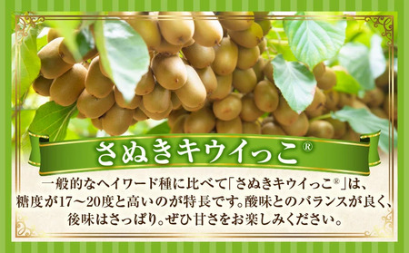 キウイフルーツ(さぬきキウイっこR)　1.8kg×2箱_mk165-009