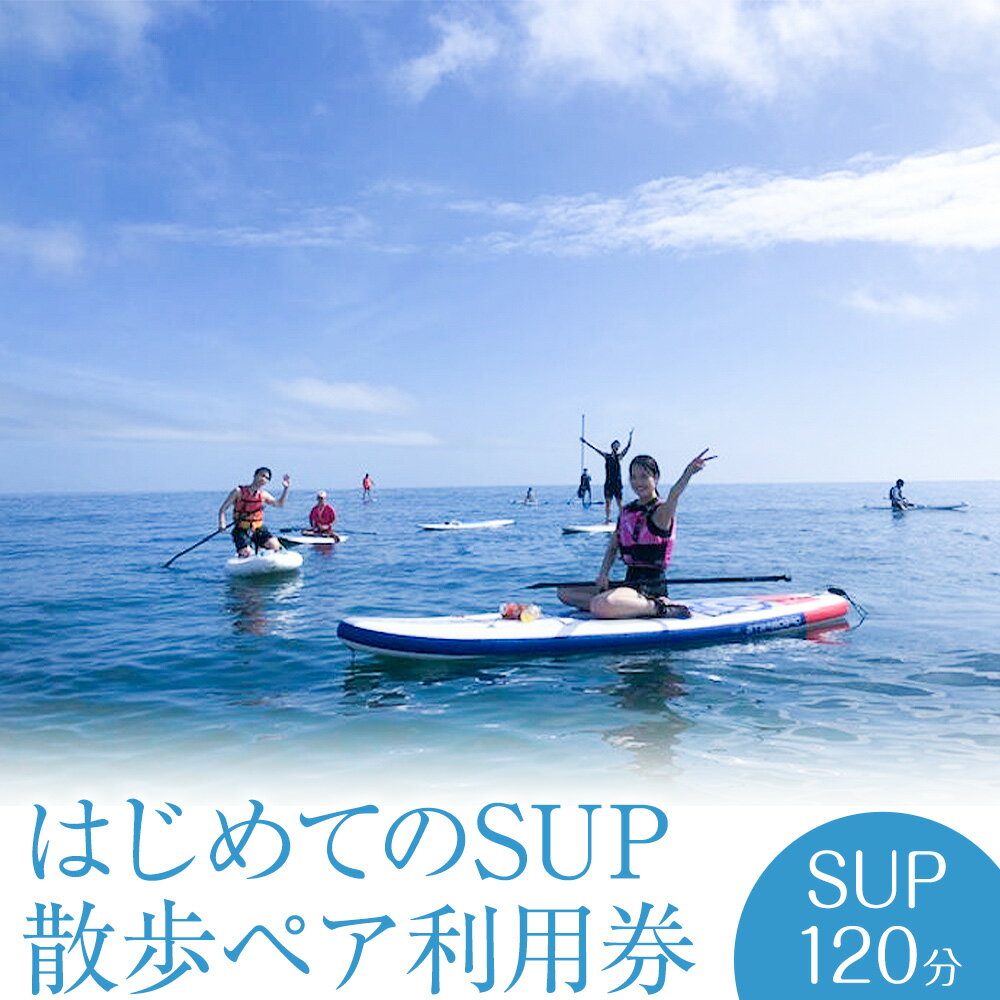 【ふるさと納税】マリブポイント SUP 散歩 ペア 利用券 1枚 マリブポイント《90日以内に出荷予定(土日祝除く)》マリンスポーツ 初心者 はじめて 海 千葉県 勝浦市【配送不可地域あり】