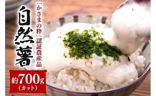 伊藤農園の自然薯カット　約700g