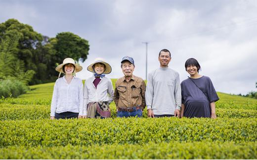 お茶 茶葉 煎茶 100g × 3袋 やぶきたみどり 有機 オーガニック 静岡県産 日本茶 お茶っ葉 アルミ チャック 付き